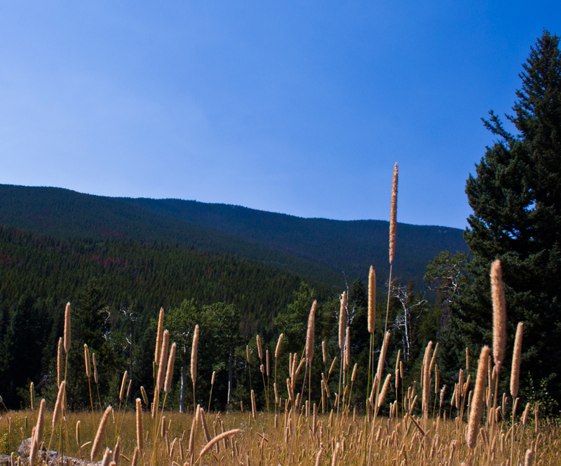 I Love The Mountains