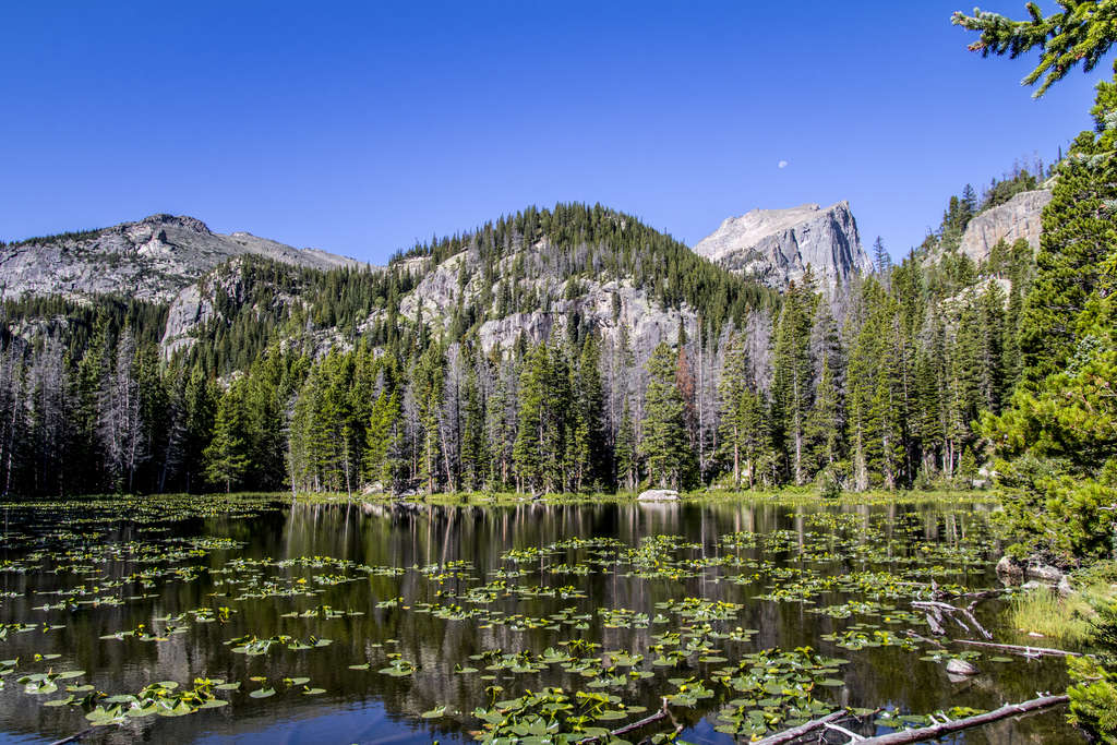 Nymph Lake