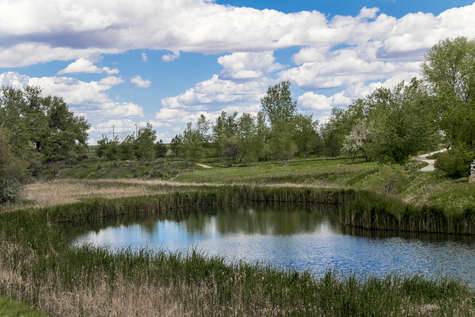 Across the Lake