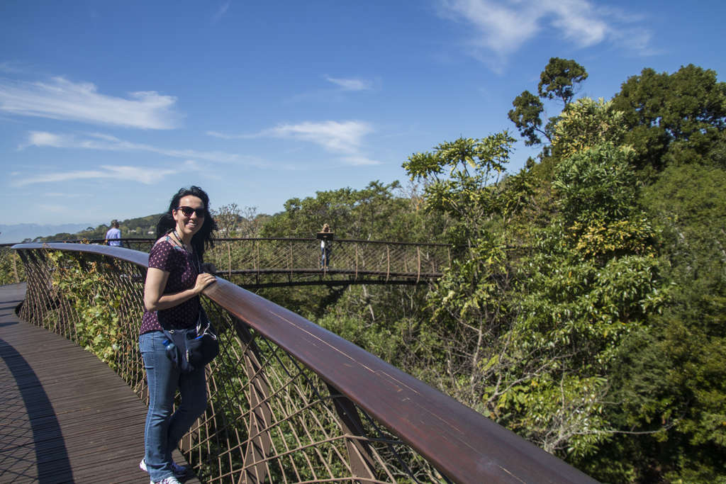 Tree Canopy Walkway