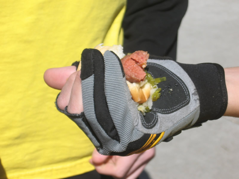 Hotdog in Hand