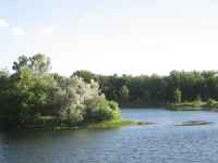 Island in the Middle