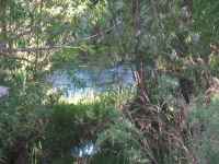 Hidden Lake