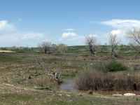Small Creek