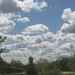 Puffy Clouds