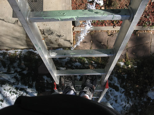 Looking Down