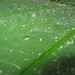 Drops of Water