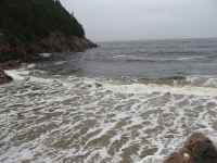 Waves
