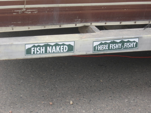 Fish Naked
