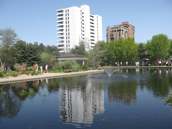Reflective pond at the Botanic Gardens
