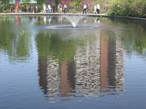 Reflective pond at the Botanic Garden