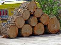 Stacks of Wood