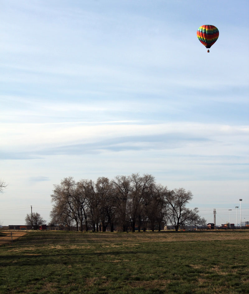 Flying High