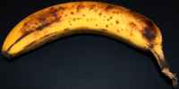 Forgotten Banana