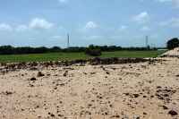 Rocks to Grass