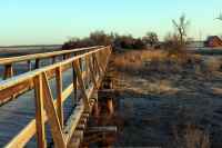 Brisk Morning