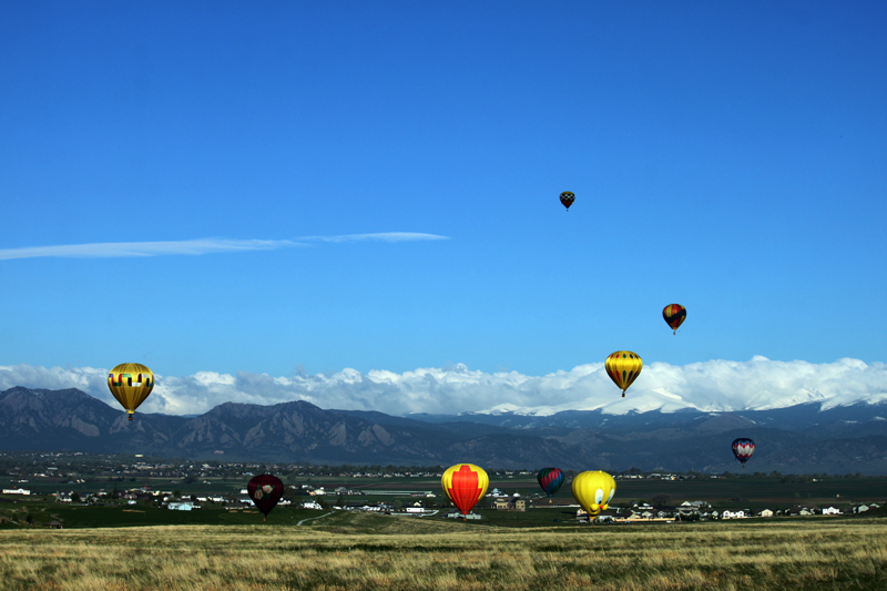 Field of Balloons