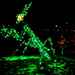 Glowing Praying Mantis