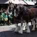 Greeley Stampede