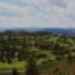From the Top