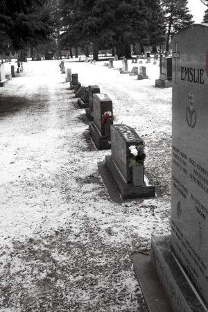 Rows of Graves