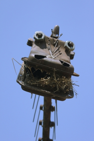 Birds Nest Lunch