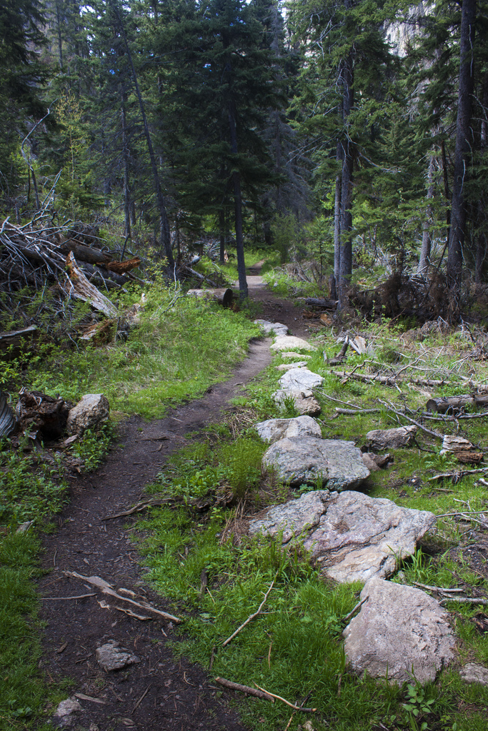 Cathedral Spires Trail