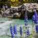 Flowers and Water