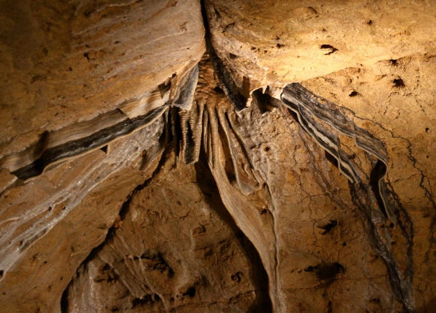 Cave Bacon