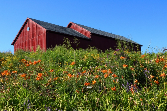 Brigham Farm