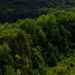 Foliage Covered Bluffs