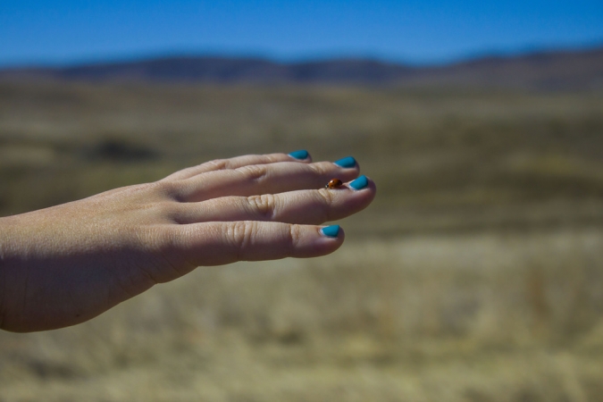 Blue Nails