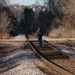 Walking Down the Tracks