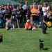 Wiener Dog Races