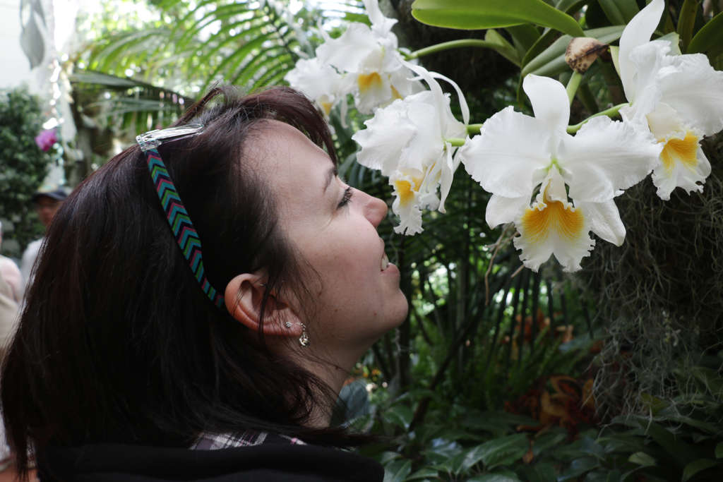 Smelling the Orchid
