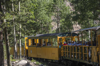 Through the Aspens