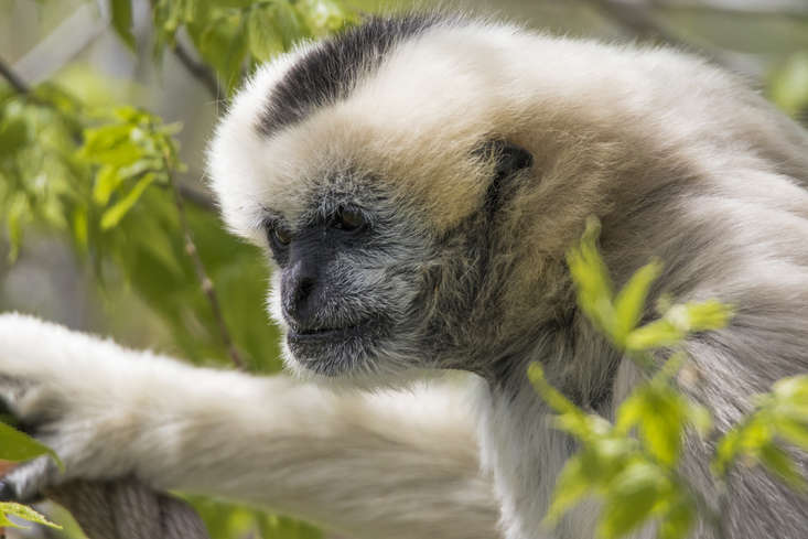 Walking Through the Tree