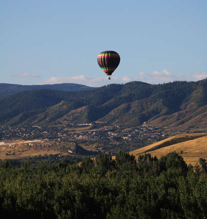 Over the Trees