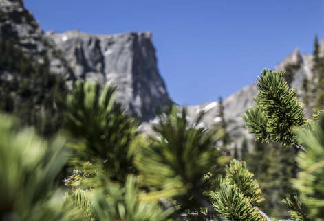 Blurred Hallett Peak