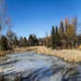 Frozen Lake