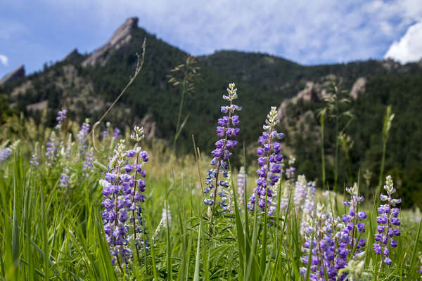 Gregory Canyon and Flagstaff Mountain