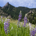 Gregory Canyon and Flagstaff Mountain