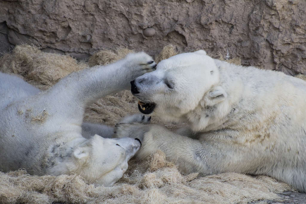 Play Time