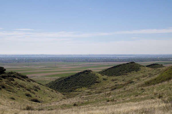 Coyote Ridge