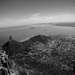 Lions Head