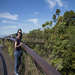 Tree Canopy Walkway