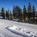 Snowy Road