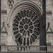 Rose Window