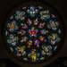 Rose Window