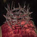 Crown of Thorns